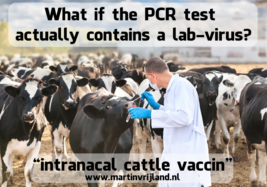 https://www.martinvrijland.nl/wp-content/uploads/2020/10/intranacal-cattle-vaccin.jpg