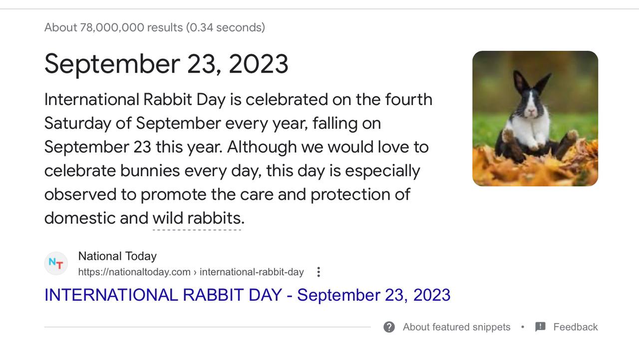 https://www.martinvrijland.nl/wp-content/uploads/2023/09/september-23rd-rabbit-day.jpg